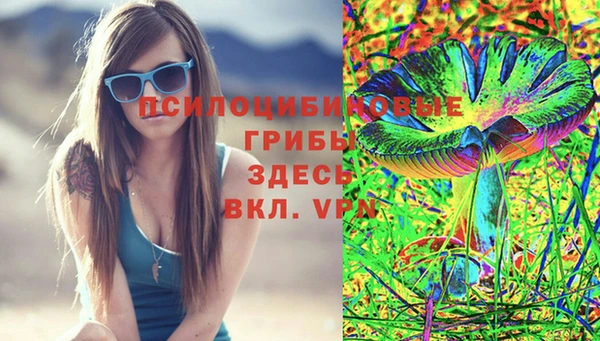 марки lsd Няндома