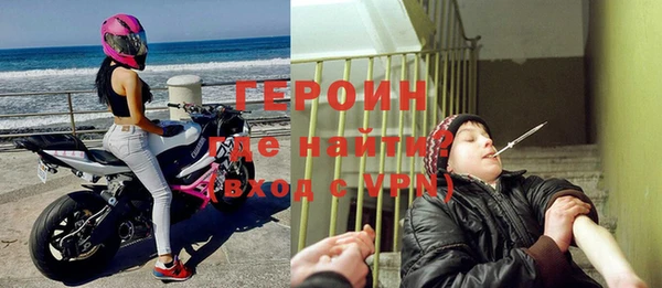 прущие грибы Осинники