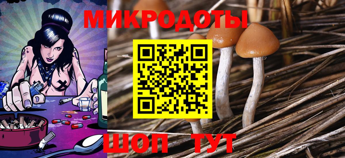 Псилоцибиновые грибы Cubensis Советская Гавань