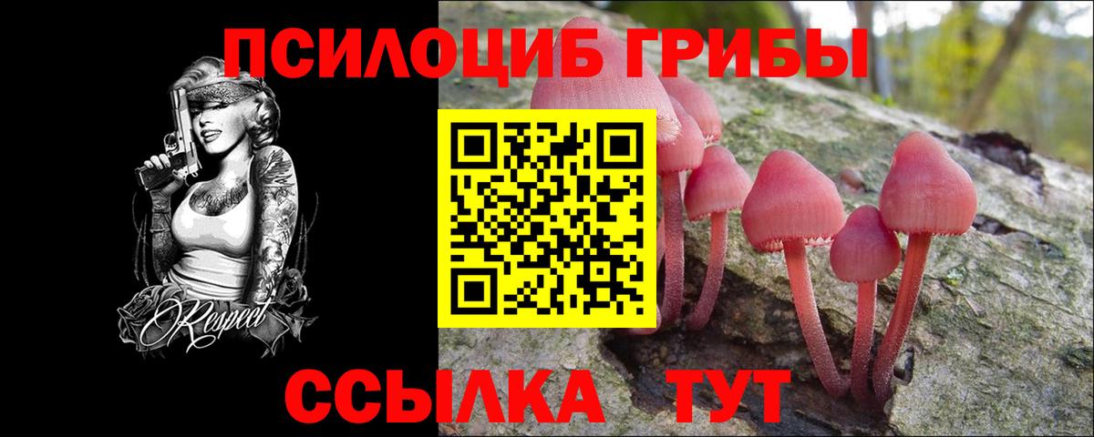 Советская Гавань  Галлюциногенные грибы MAGIC MUSHROOMS  Вход с VPN 