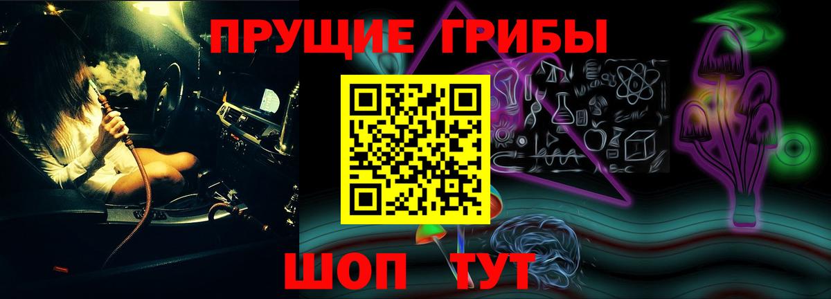 Псилоцибиновые грибы Cubensis  Советская Гавань 